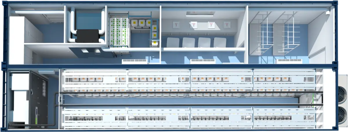 Extreme Sports Biking