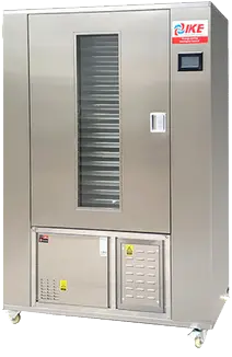 Extreme Sports Biking